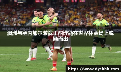 球速体育平台入口