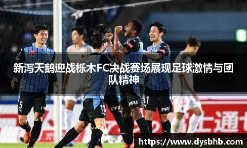 新泻天鹅迎战栎木FC决战赛场展现足球激情与团队精神